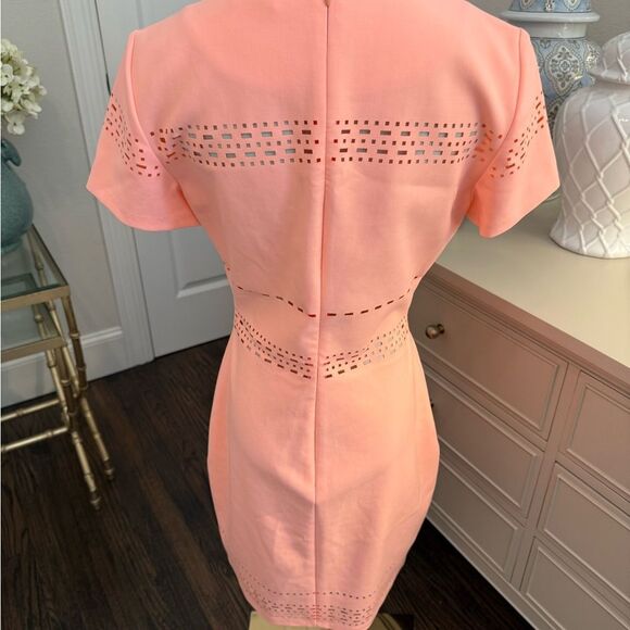 Elizabeth and James Ari Cutout Stretch-Jersey Mini Dress-V14 - Picture 5 of 6